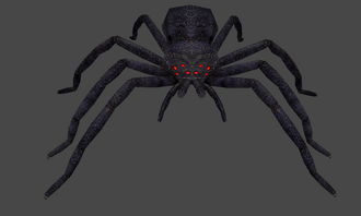 (关于蜘蛛的游戏大全)探寻逝去记忆：曾经沉浸其中的一个关于蜘蛛的游戏