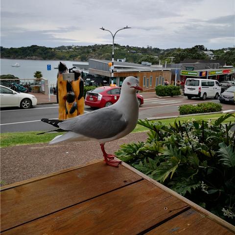 (死亡岛激流mod教程)如何在游戏《死亡岛激流》中设置中文语言界面详细教程