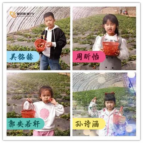 (小小冒险家系列3多少钱)小小冒险家攻略：培养孩子勇敢精神与探索世界的全面指南