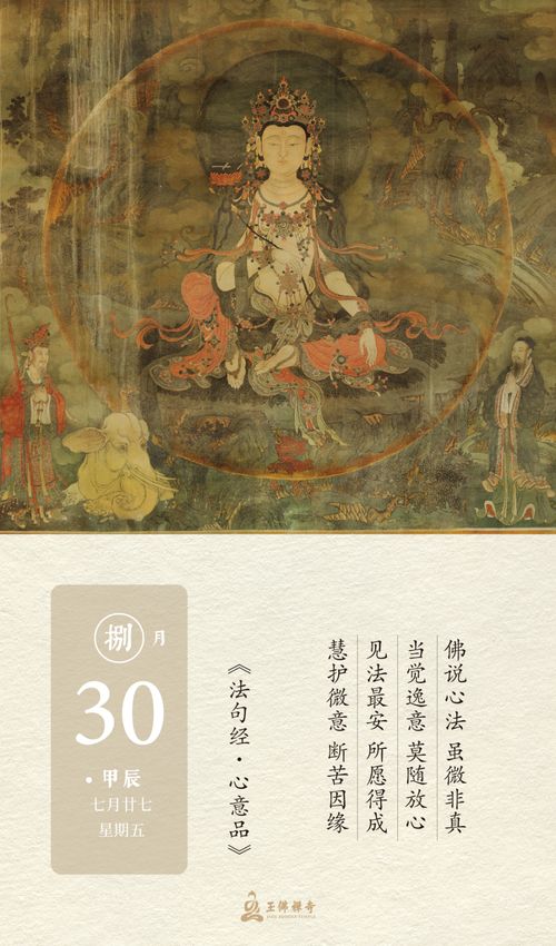 生死轮回中个体成长规律：从诞生的涅槃、成熟的彰显，到衰老的智慧与死亡的静默