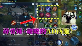 (锤子勇者)锤锤勇者游戏：探索奇幻世界，体验无尽冒险与挑战的全新玩法