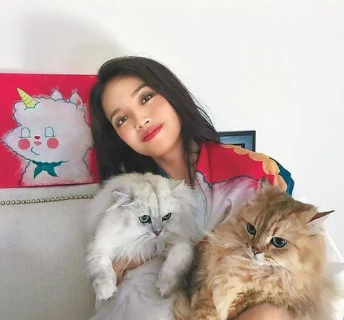 (小峰峰真名叫什么)小锋真猫本人:打破传统,重塑个人风采,成为真正的自我。 (小峰峰真名叫什么)小锋真猫本人:打破传统,重塑个人风采,成为真正的自我。