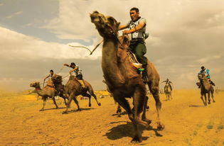 (狮驼岭全集)狮驼岭2高清免费播放，全新剧情精彩纷呈，立即观看在线免费版