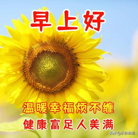 深度揭秘：以逍遥修真境界为蓝本，详细解析修真者如何突破界限获得永生