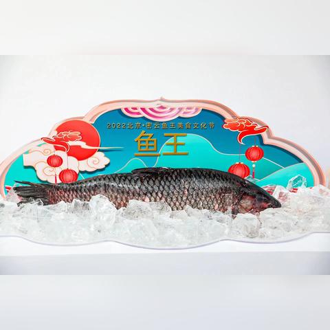 探秘吉渔公主城堡：神奇的建筑与传说，带你走进童话世界的奇妙冒险