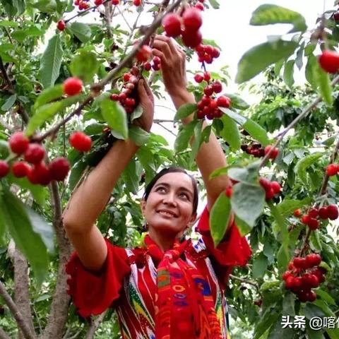 (以遇见写一篇作文)遇见作文600字：初夏，以一支笔讲述一场与大自然的对话