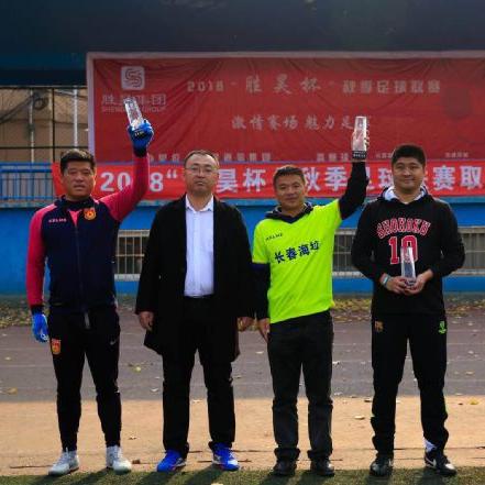 (绿茵奇迹最强阵型)揭秘绿茵奇迹：打造平民最佳阵容攻略