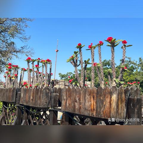 (风之海峡)探秘风之海岸：攻略指南、必玩景点和美食推荐