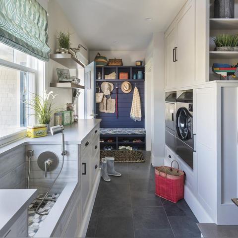 (天才宠物海滨秀内购破解版)天才宠物海滨秀下载，快来见证宠物的惊人表演咯！