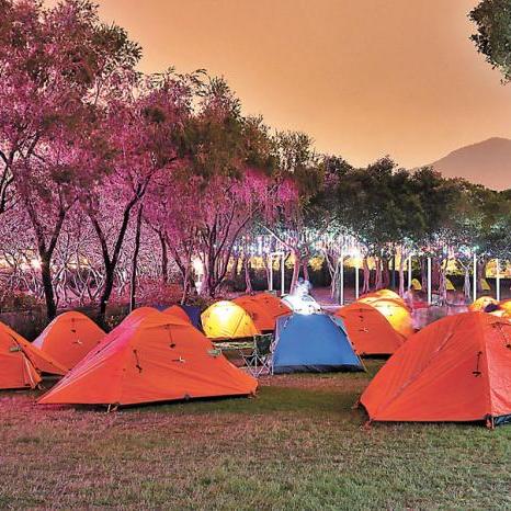 (天才宠物海滨秀内购破解版)天才宠物海滨秀下载,快来见证宠物的惊人表演咯! (天才宠物海滨秀内购破解版)天才宠物海滨秀下载,快来见证宠物的惊人表演咯!