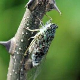 (我想你怎么用符号表达)怎样用符号表达"我想你了"？