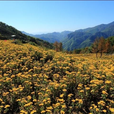 (迷宫探索攻略)探寻秘境：迷宫传说高装备掉落版最新版本下载指南