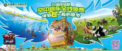 (动物狂欢节精彩不停歇)探索动物狂欢节游戏的精彩世界：体验欢乐与冒险的乐趣