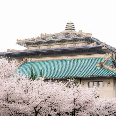 研发背后的故事：《樱花大战》新的约定中如何完美融合经典元素与创新视觉？