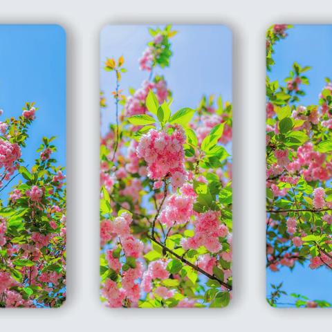 研发背后的故事:《樱花大战》新的约定中如何完美融合经典元素与创新视觉? 研发背后的故事:《樱花大战》新的约定中如何完美融合经典元素与创新视觉?