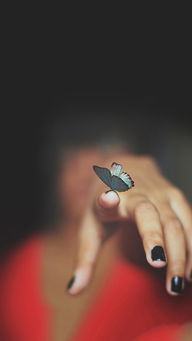 (苹果手机的实况墙纸是什么意思)探索苹果实况墙纸:个性化你的手机屏幕,尽享动态美学体验! (苹果手机的实况墙纸是什么意思)探索苹果实况墙纸:个性化你的手机屏幕,尽享动态美学体验!