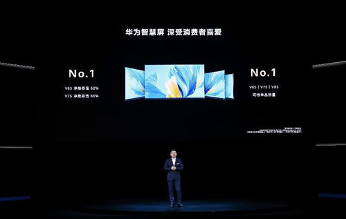 (电视棒多少钱一个)惊喜来袭！30元电视棒，丰富你的生活，尽在你的手心！