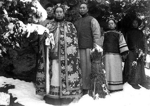 (柱子打过职业吗)最适合新手选择的柱子英雄职业推荐，助你顺利踏上游戏征程