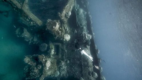 (在潜入谎言之海中寻找真相的勇气和智慧)在潜入谎言之海中寻找真相的勇气和智慧 (在潜入谎言之海中寻找真相的勇气和智慧)在潜入谎言之海中寻找真相的勇气和智慧