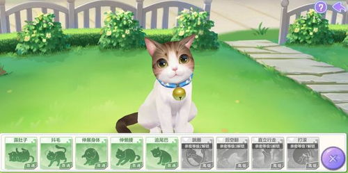 探索喵星族微信小游戏：带你进入猫咪的奇幻世界，享受无尽的乐趣与挑战