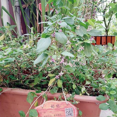 (歌曲友情岁月mv)友情岁月歌曲原唱:回味经典,探寻情谊,用音乐留住时光 (歌曲友情岁月mv)友情岁月歌曲原唱:回味经典,探寻情谊,用音乐留住时光