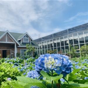 这城有良田好玩吗？以旅游地产开发与城市田园复兴视角探讨城市农业休闲旅游资源的开发与利用