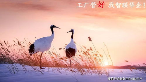 (跨越山海,见证理想)跨越山海,一念励志,铸就霸气人生。 (跨越山海,见证理想)跨越山海,一念励志,铸就霸气人生。