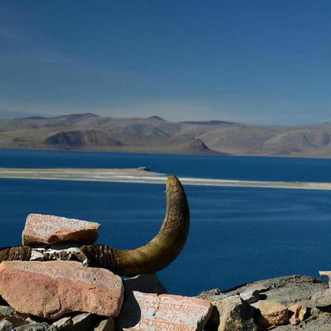 (挨饿荒野视频解说)探秘挨饿荒野免广告最新版功能和体验分享