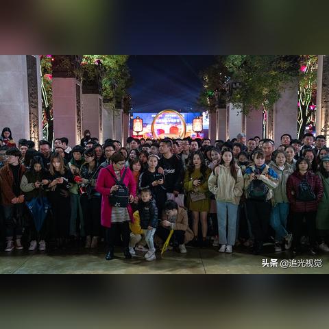 (时间的秩序简介)探究生活本质：《时间的秩序》PDF电子书的深度解析与应用研究