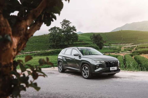 (进击的兔子是谁)进击的兔子小姐全文免费阅读：跟随小姐一起踏上冒险之旅