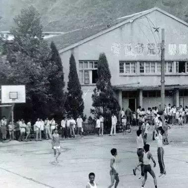 (代号55下载 在线播放)下载代号56手游：开启刺激战斗，全新战术体验等你来挑战！