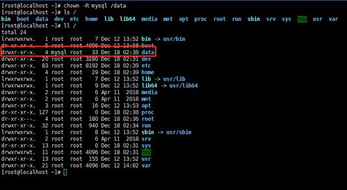 详解天道问情内置GM参数设置方法:以性能优化和交互功能提升为核心探究 详解天道问情内置GM参数设置方法:以性能优化和交互功能提升为核心探究