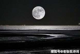 (如梦下半场)如梦下弦月意味深长,揭示了怎样的哲理和情感维度? (如梦下半场)如梦下弦月意味深长,揭示了怎样的哲理和情感维度?