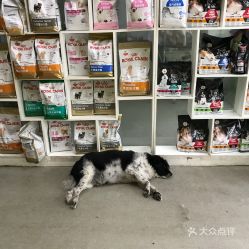(新亚车站过安检能带宠物猫进站吗多少钱)新亚车站过安检能带宠物猫进站吗? (新亚车站过安检能带宠物猫进站吗多少钱)新亚车站过安检能带宠物猫进站吗?