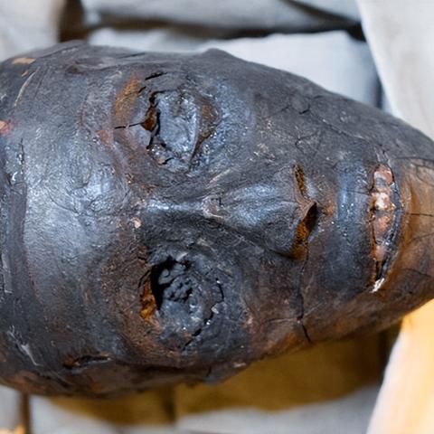 (勇者大冒险埃及篇)勇者大冒险埃及：探秘神秘法老墓穴