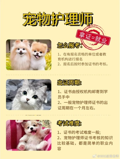 (爱宠需知)爱宠须知小说在线阅读，如何呵护你的宠物？