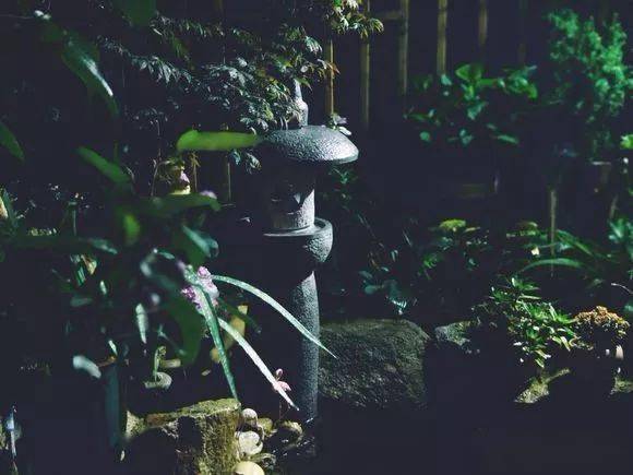 (虫鸣声怎么形容)夏夜清凉中，虫鸣声音如何形容？听了心生平静还是烦躁难耐？