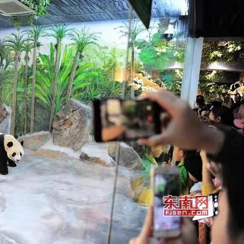 (我叫mt林熊猫)我叫MT丛林鸟大冒险：探索神奇丛林，勇闯危险险境