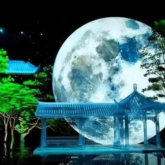 (环形战争官网)2024年环形战争依然热门！你还能沉迷其中吗？