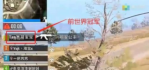 难言与冰刃的对决：谁能在冰雪世界中逆袭成王？