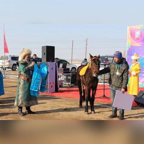 (梦幻赛是什么意思)2024梦幻赛马盛典：体验精彩刺激的马术较量与无限乐趣