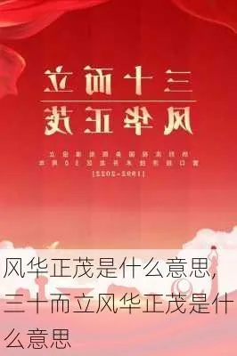 (风华一般比喻具有无与伦比魅力的人才对吗)风华一般比喻具有无与伦比魅力的人才