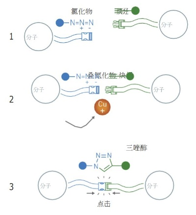 探究科技创新:以'鱼酱与氚氚怪修改器'为主题,深入解析结构设计与实际应用的奥秘 探究科技创新:以'鱼酱与氚氚怪修改器'为主题,深入解析结构设计与实际应用的奥秘