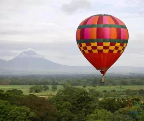 (夕阳热气球为什么凉得这么快)为什么夕阳热气球的服役被迫提前结束,可能的原因有哪些? (夕阳热气球为什么凉得这么快)为什么夕阳热气球的服役被迫提前结束,可能的原因有哪些?