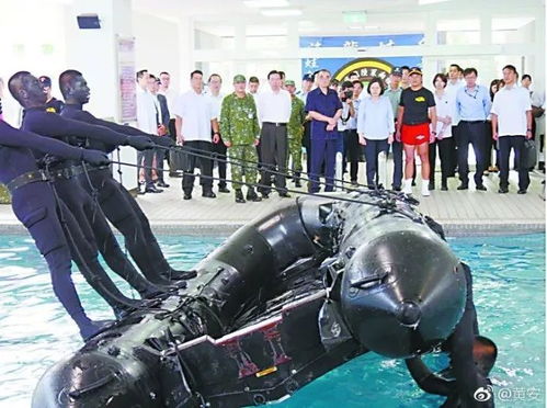 针对网友关心的问题，帕尼亚战纪已经停止更新了吗？揭秘其背后可能的原因和未来发展走向