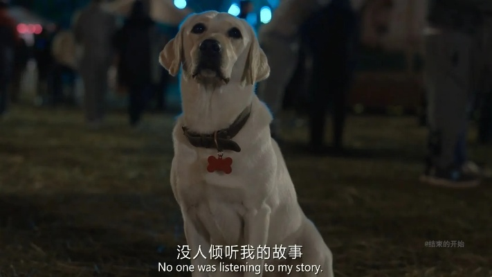 复仇狗联盟超清：雪犬、哈士奇、贵宾联手，打造全新超清复仇之路！