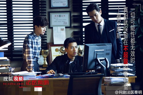 挑战智商极限，极致奢华生活盛宴——揭秘《富豪侦探》电视剧中富贵与犯罪交织的神秘世界