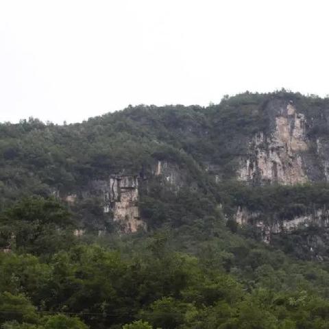 (如何在勇者之路游戏中获得沃特花仙子)如何在勇者之路游戏中获得沃特花仙? (如何在勇者之路游戏中获得沃特花仙子)如何在勇者之路游戏中获得沃特花仙?