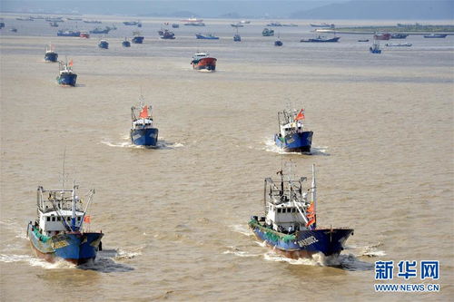 福建沿海渔船停航最新消息今天：受强风影响，多地局部暂停出海作业。