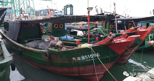 福建沿海渔船停航最新消息今天:受强风影响,多地局部暂停出海作业。 福建沿海渔船停航最新消息今天:受强风影响,多地局部暂停出海作业。